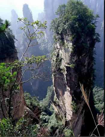 長(zhǎng)沙出發(fā)到張家界溶洞奇觀黃龍洞、國(guó)家森林公園、袁家界、峰林之王天子山三日游（早班）