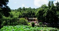 長(zhǎng)沙出發(fā)到花明樓、韶山、張家界國(guó)家森林公園、天門仙山國(guó)家森林公園四日游