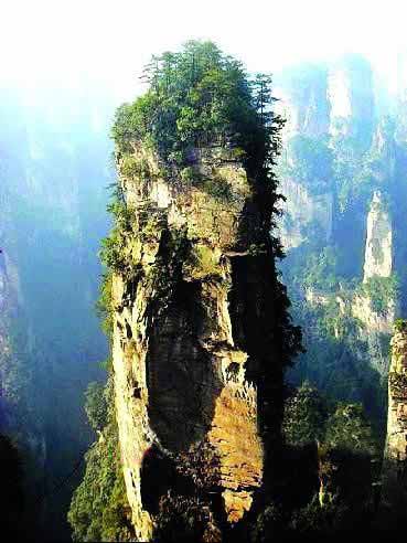 張家界國家地質森林公園、黃石寨、金鞭溪休閑一日游