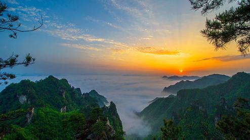 張家界森林公園（金鞭溪、袁家界、楊家界、天子山、十里畫廊）住山上2天1游（可看日出）